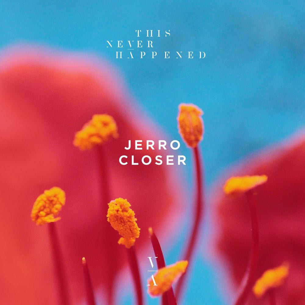 Closer cover