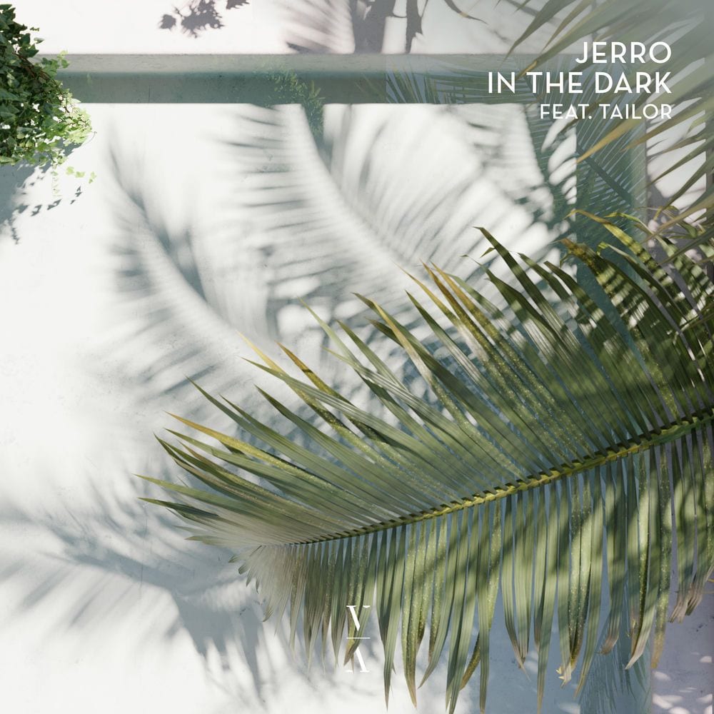 In The Dark cover