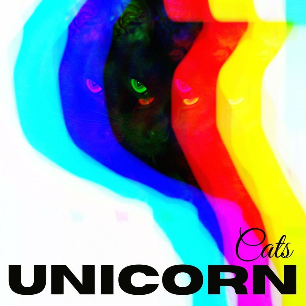 Cats cover