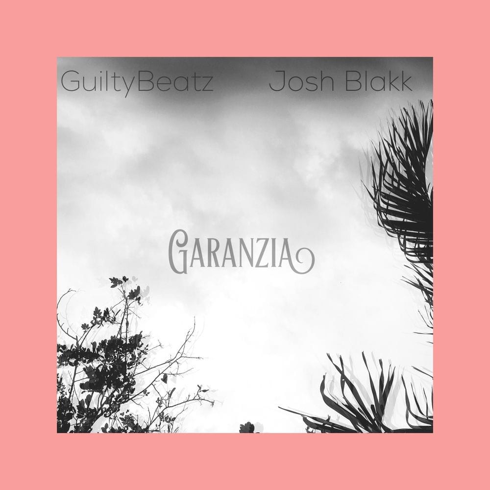 Garanzia (feat. Josh Blakk) cover
