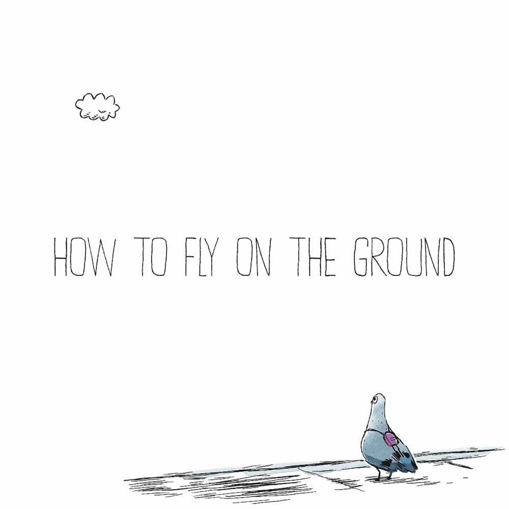 How To Fly On The Ground cover