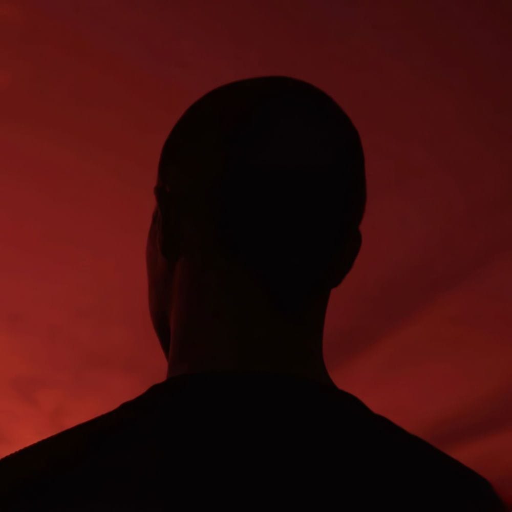 Lungs album cover
