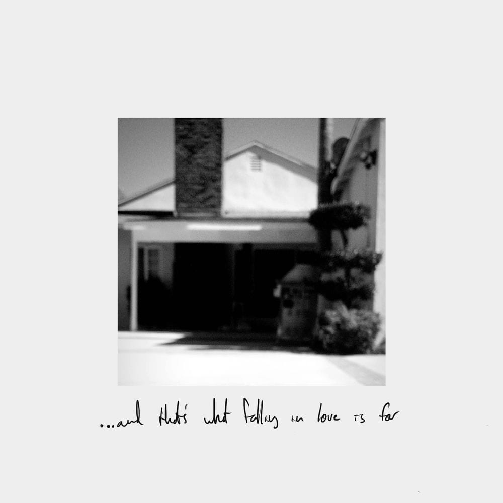What Falling in Love Is For cover