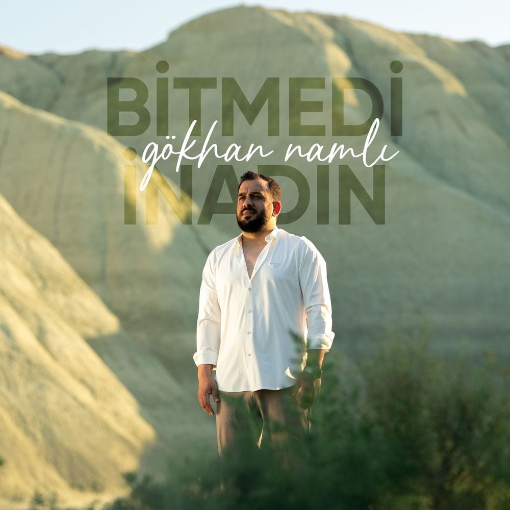 Bitmedi İnadın cover