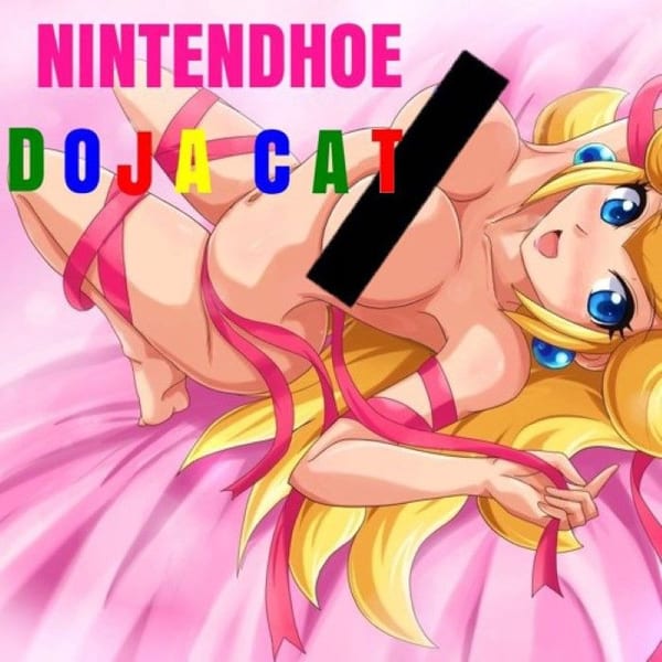 Nintendhoe cover