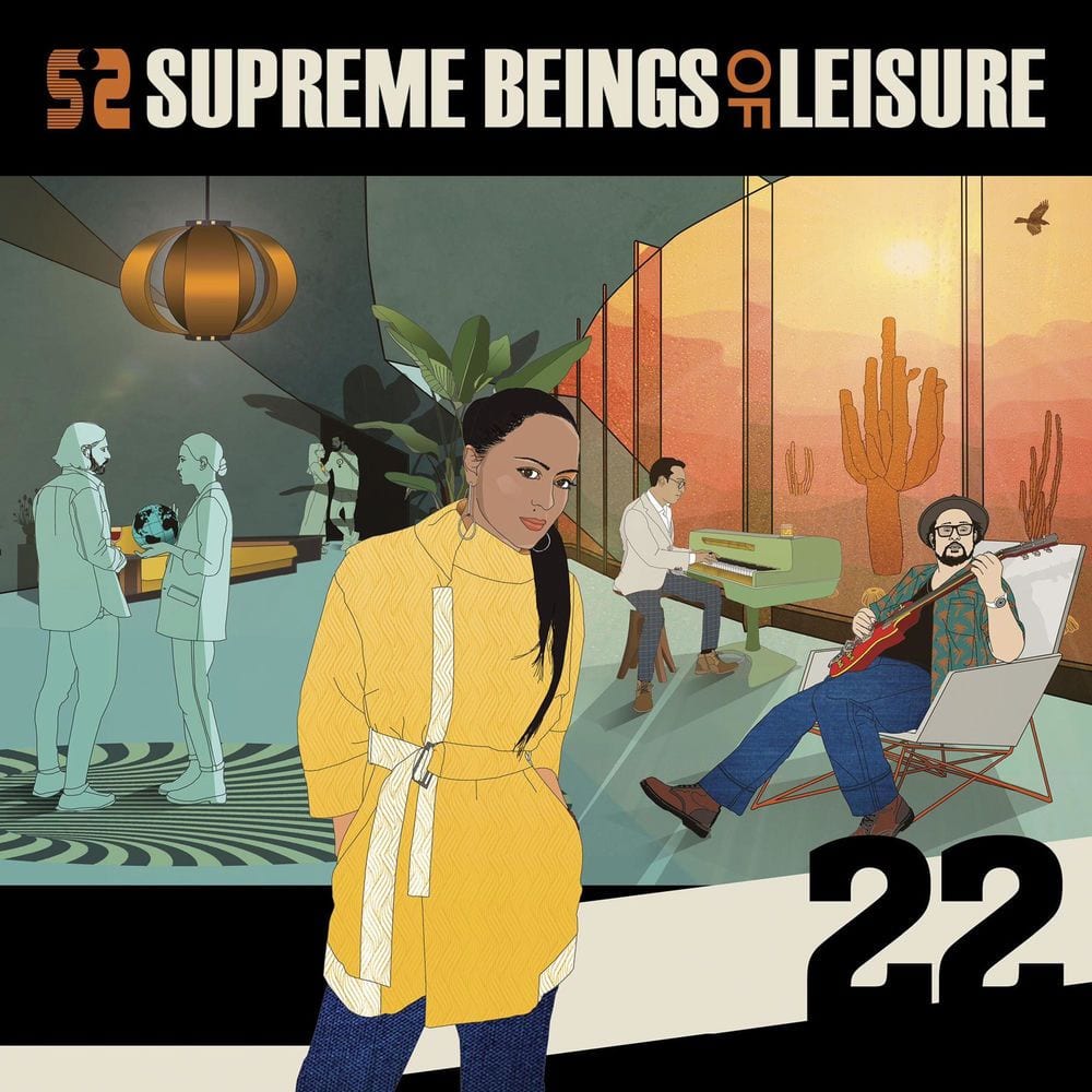 22 cover