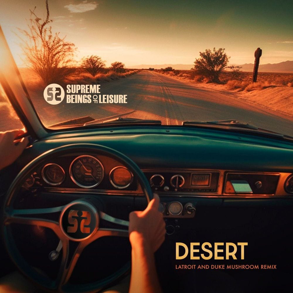 Desert (Latroit & Duke Mushroom Remix) cover