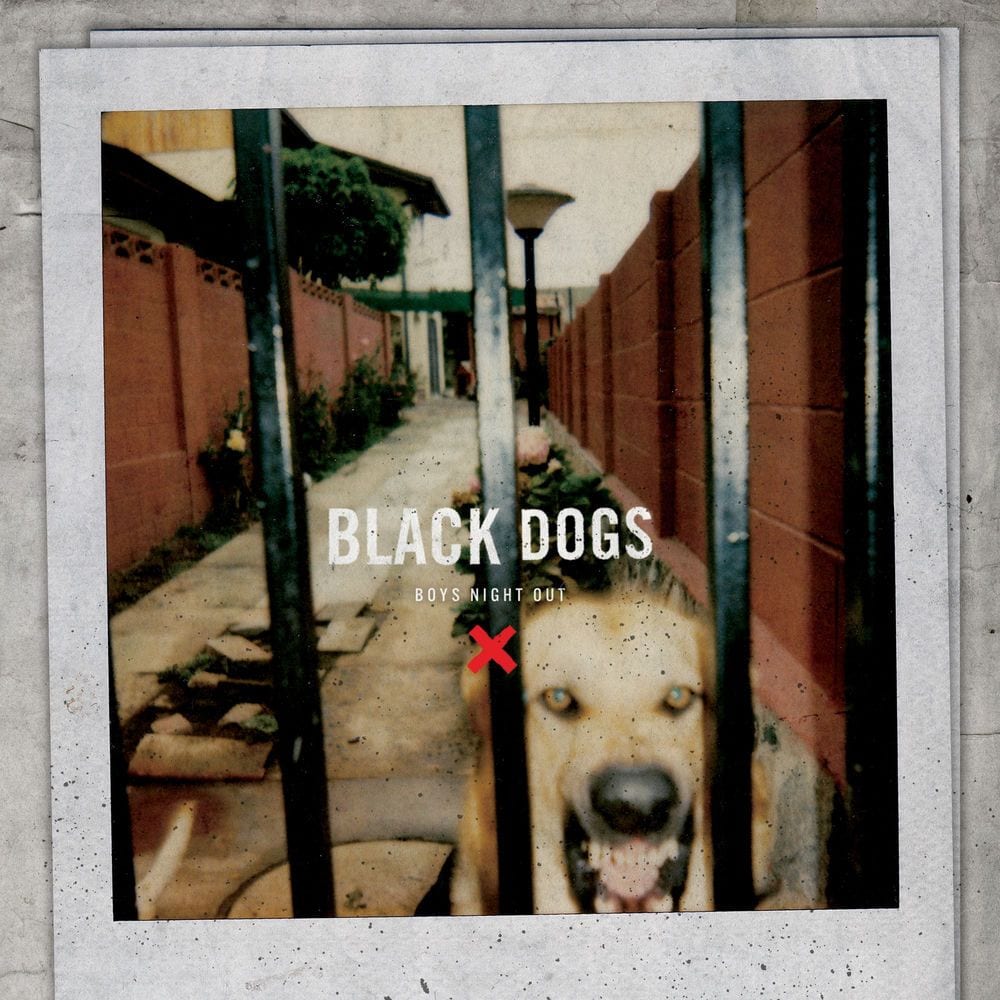 Black Dogs cover