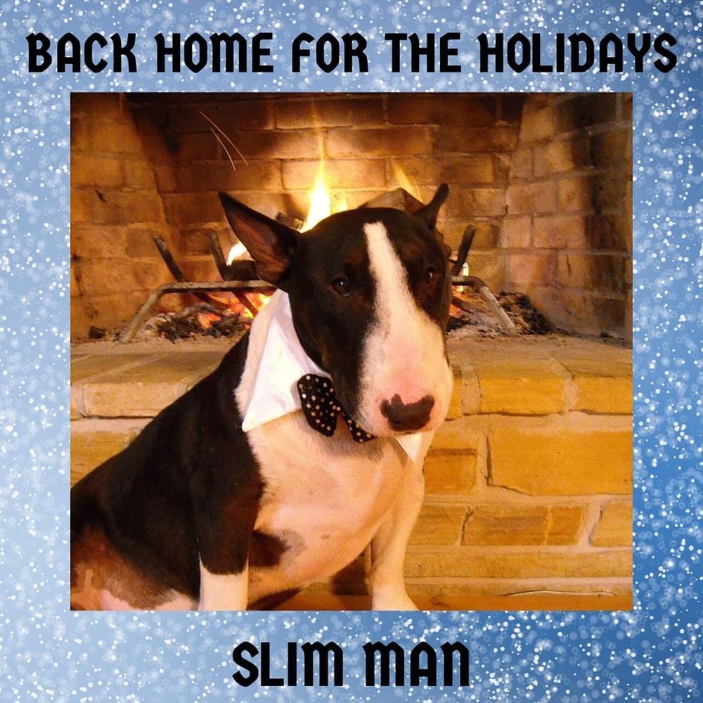 Back Home for the Holidays cover