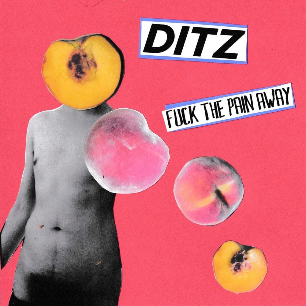 Fuck the Pain Away cover