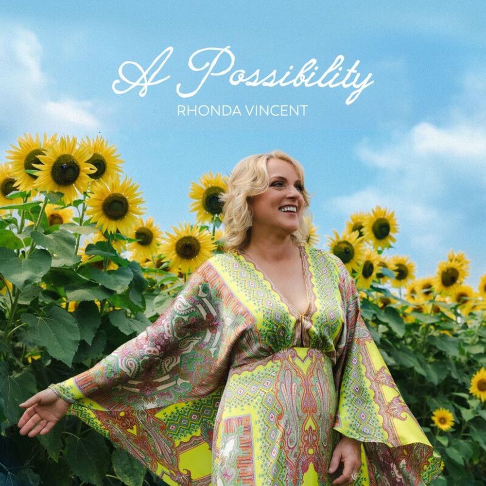 A Possibility cover