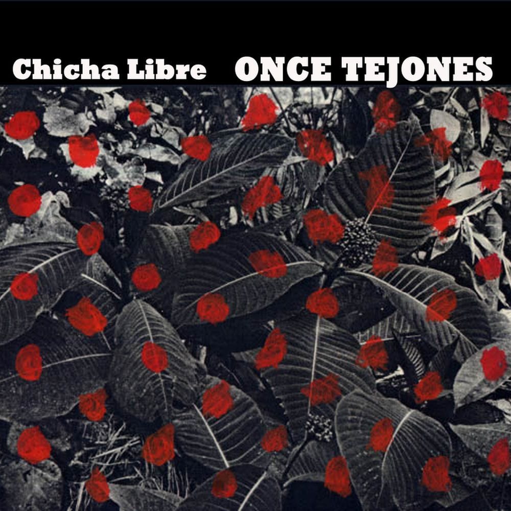 Once Tejones cover