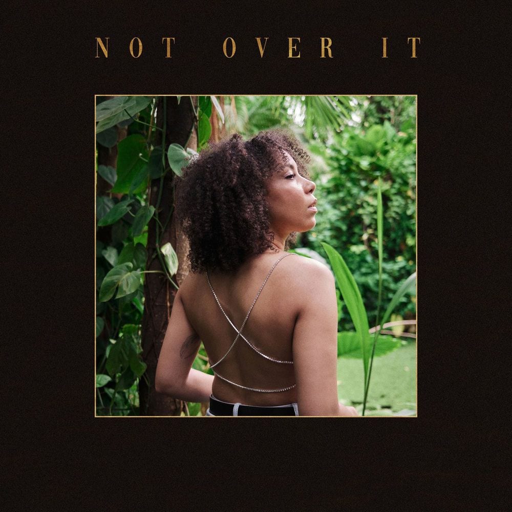 Not Over It cover