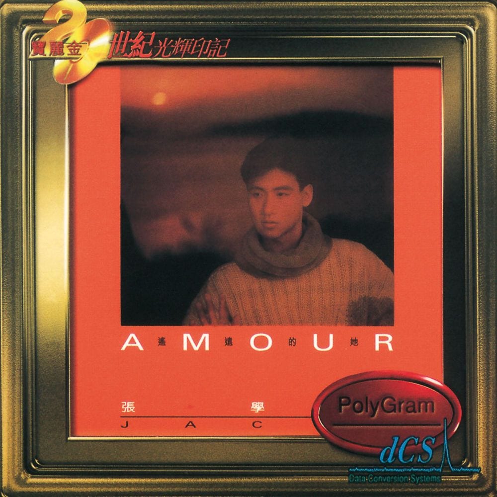 Amour/遙遠的她 cover