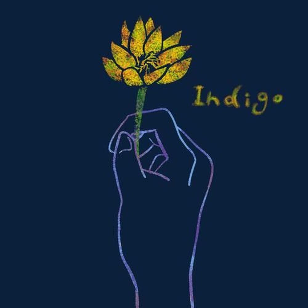 Indigo cover
