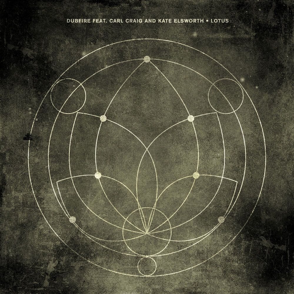 Lotus cover