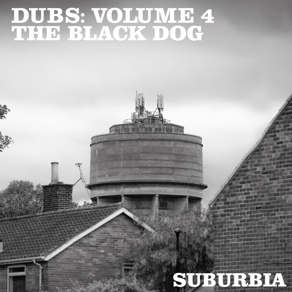 Dubs: Volume 4 cover