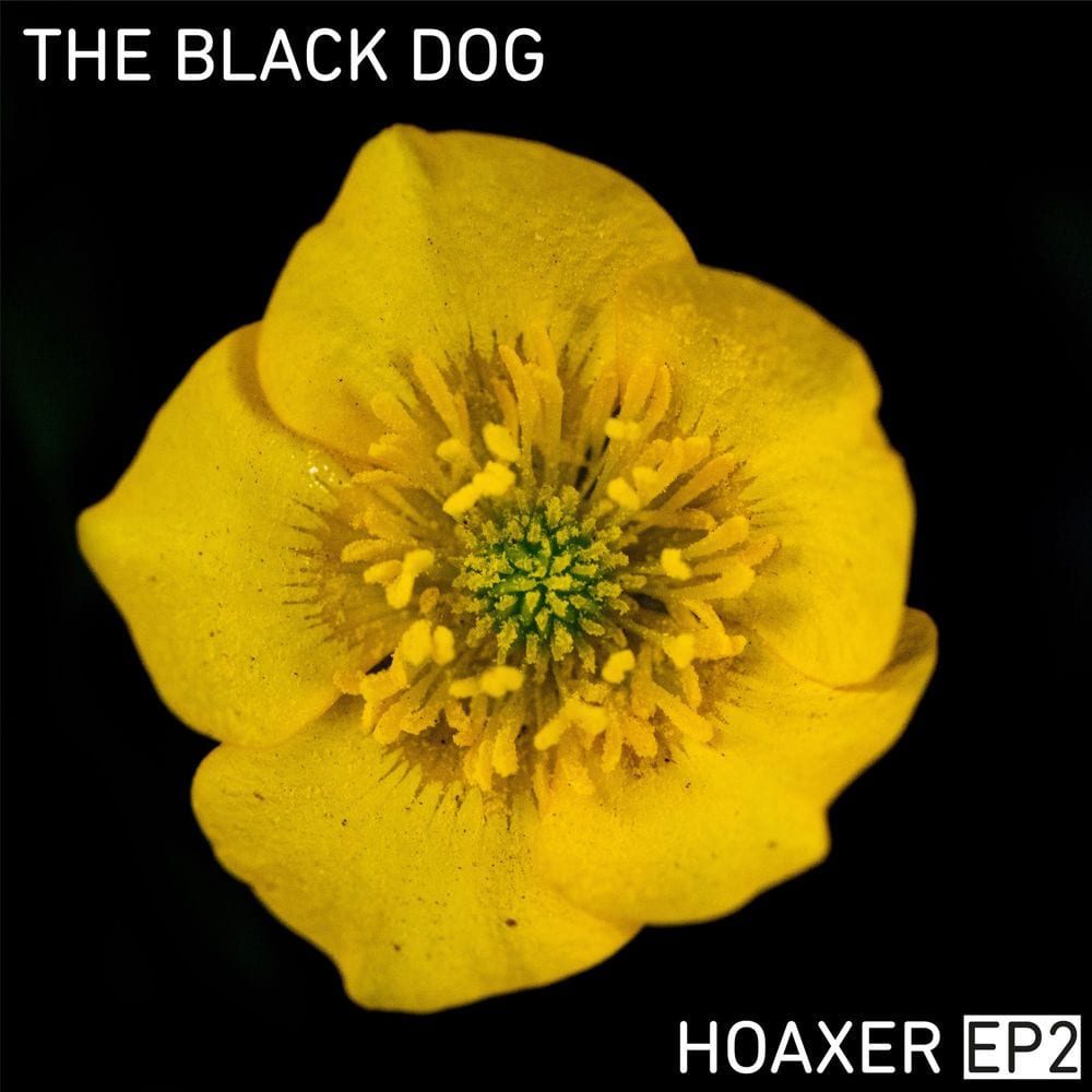 Hoaxer EP 2 cover