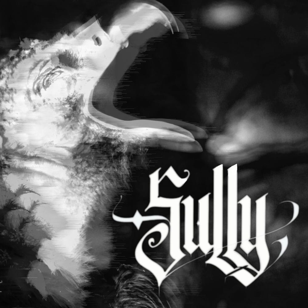Sully cover