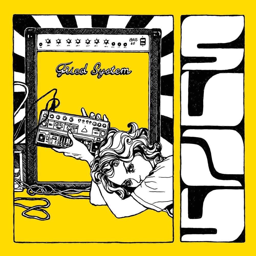 fried system cover