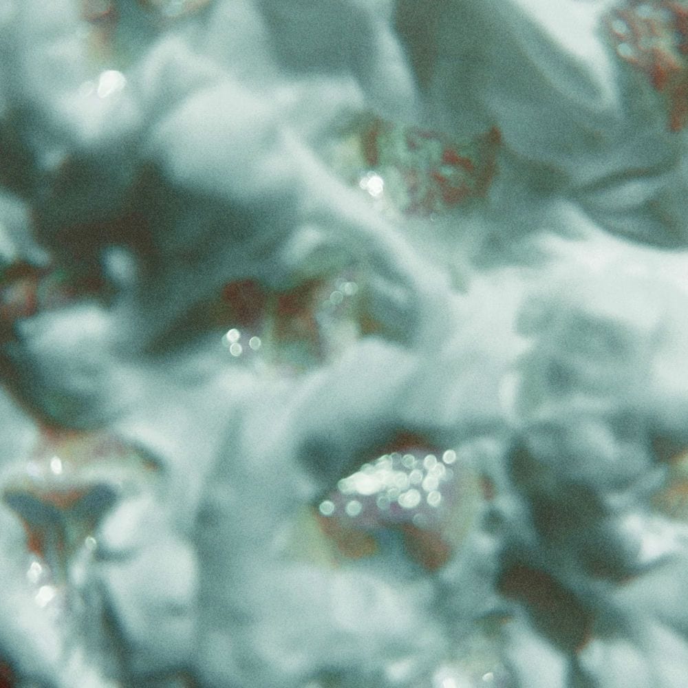 mellow glow cover
