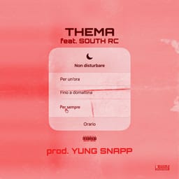 NON DISTURBARE album cover