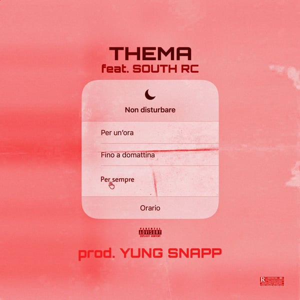 NON DISTURBARE album cover