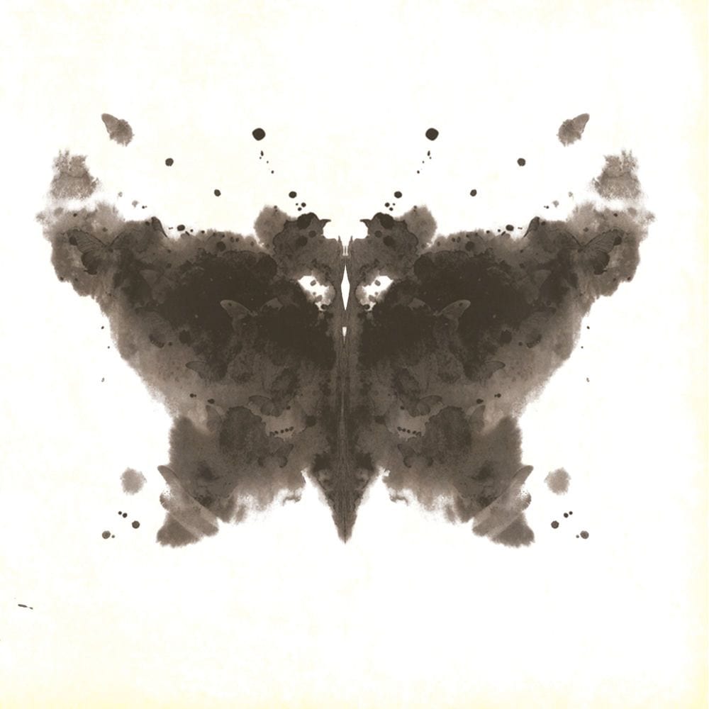 Papillon cover