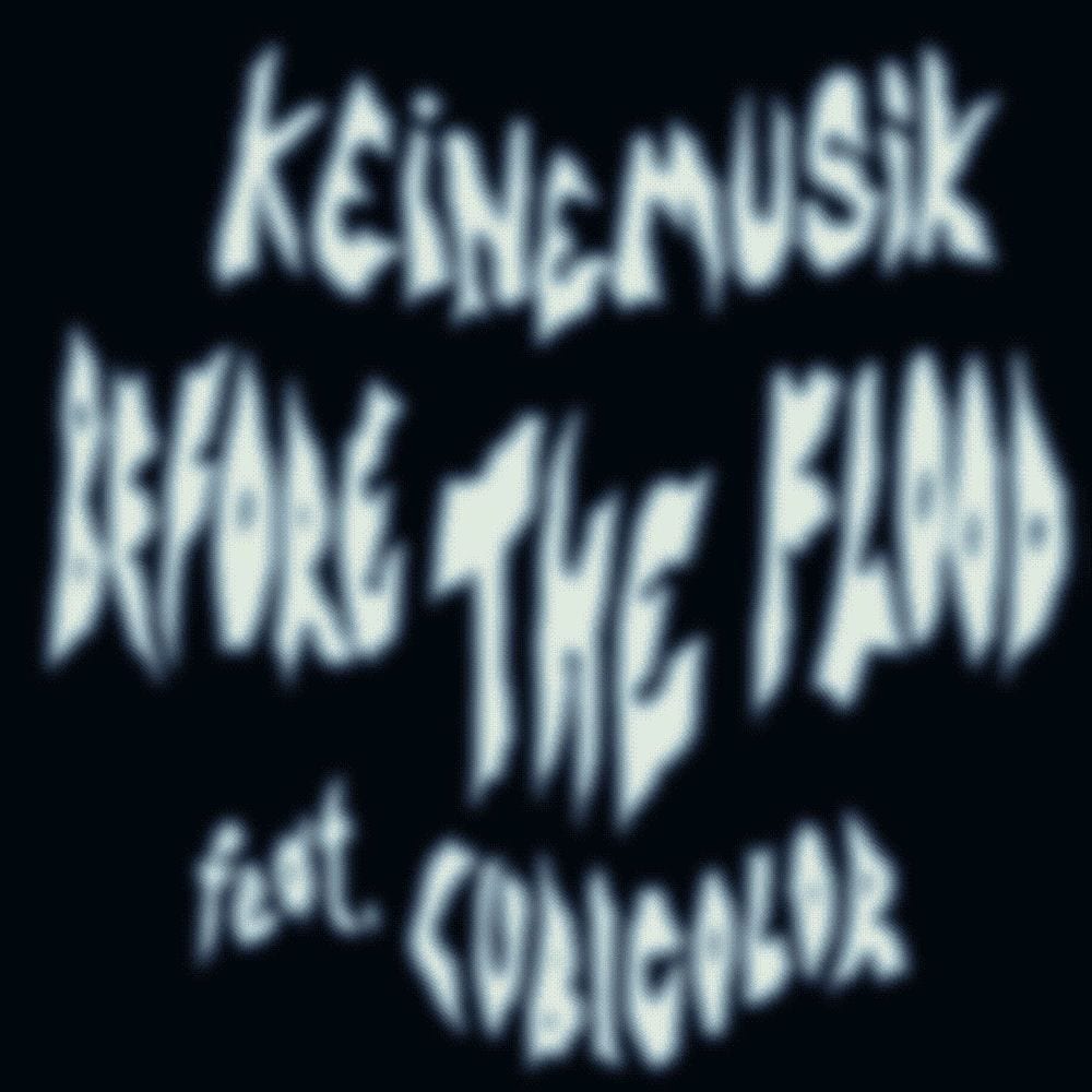 Before The Flood cover
