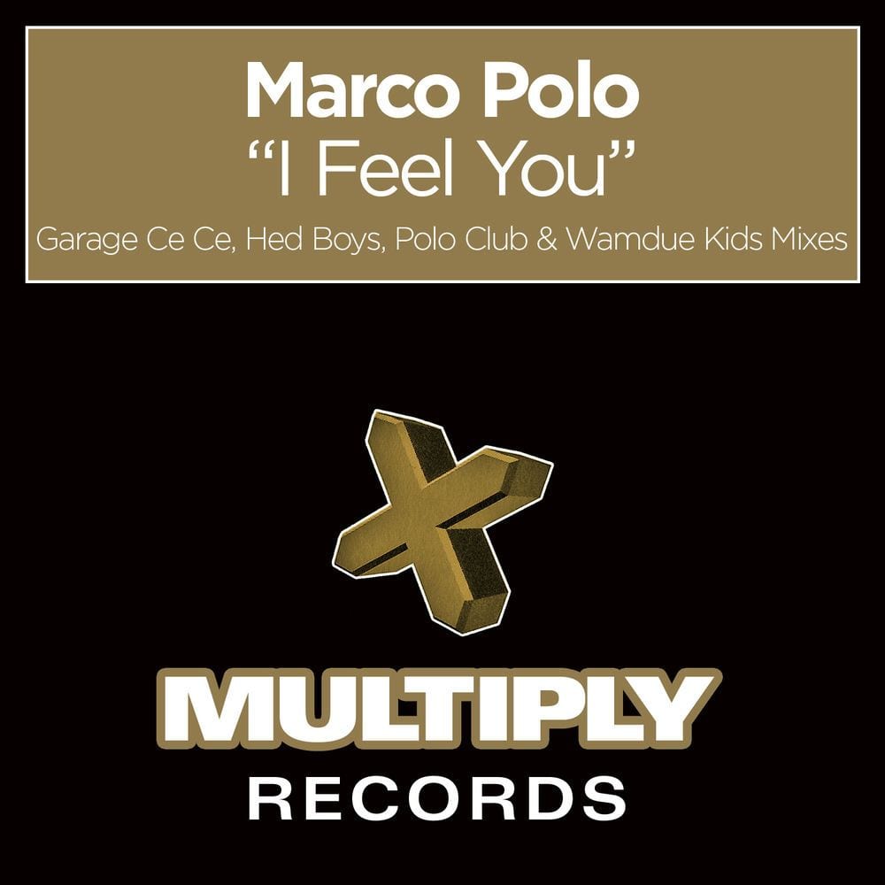 I Feel You cover