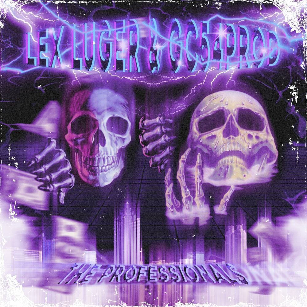 THE PROFESSIONALS cover