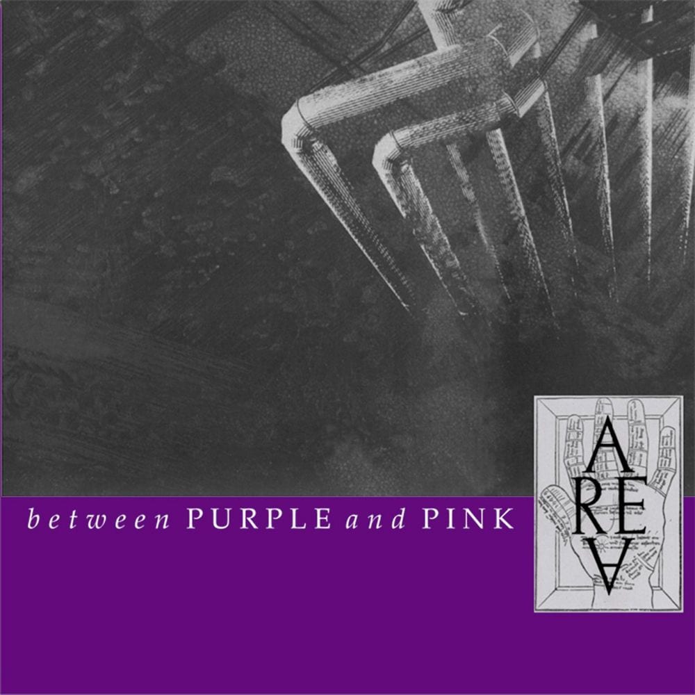 Between Purple & Pink cover