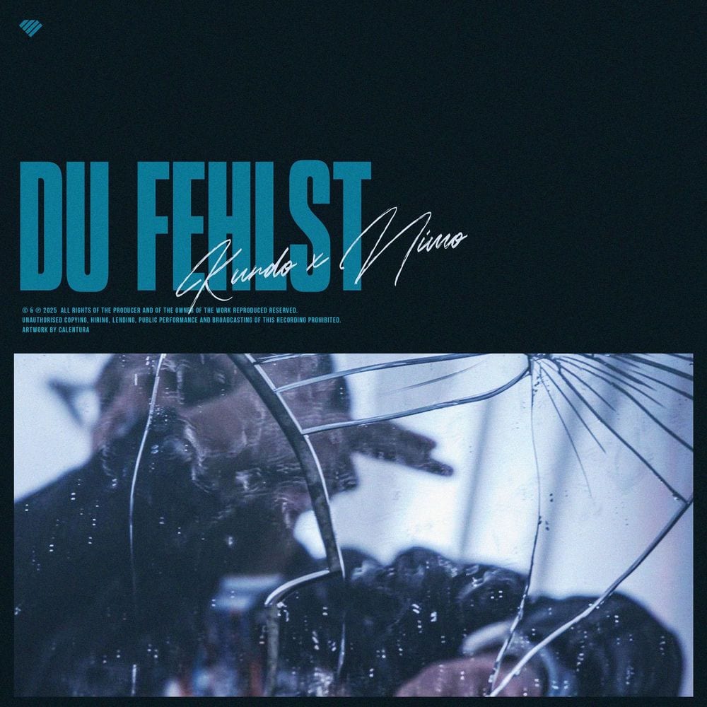 DU FEHLST cover