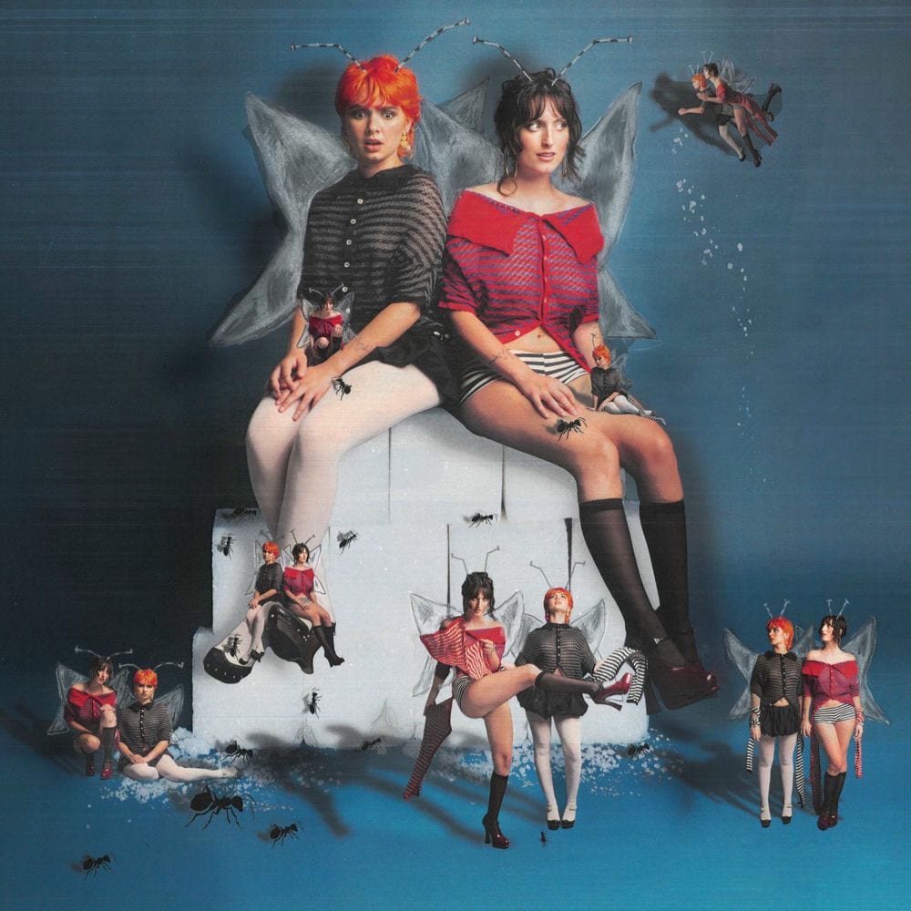 Sugar For Bugs cover