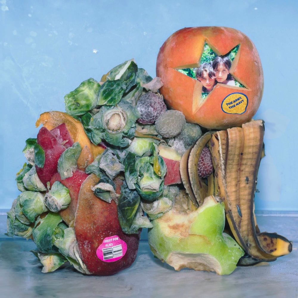 Fruit For Flies cover