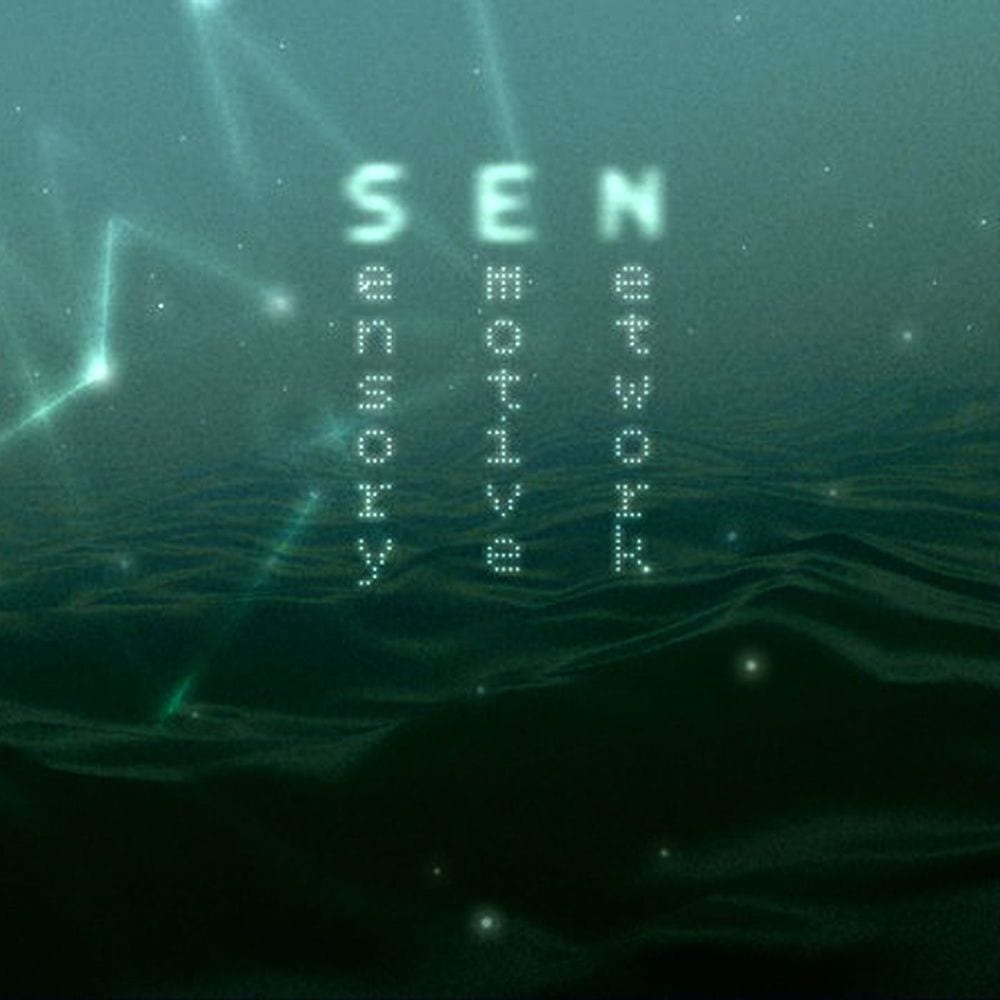 Sensory Emotive Network cover