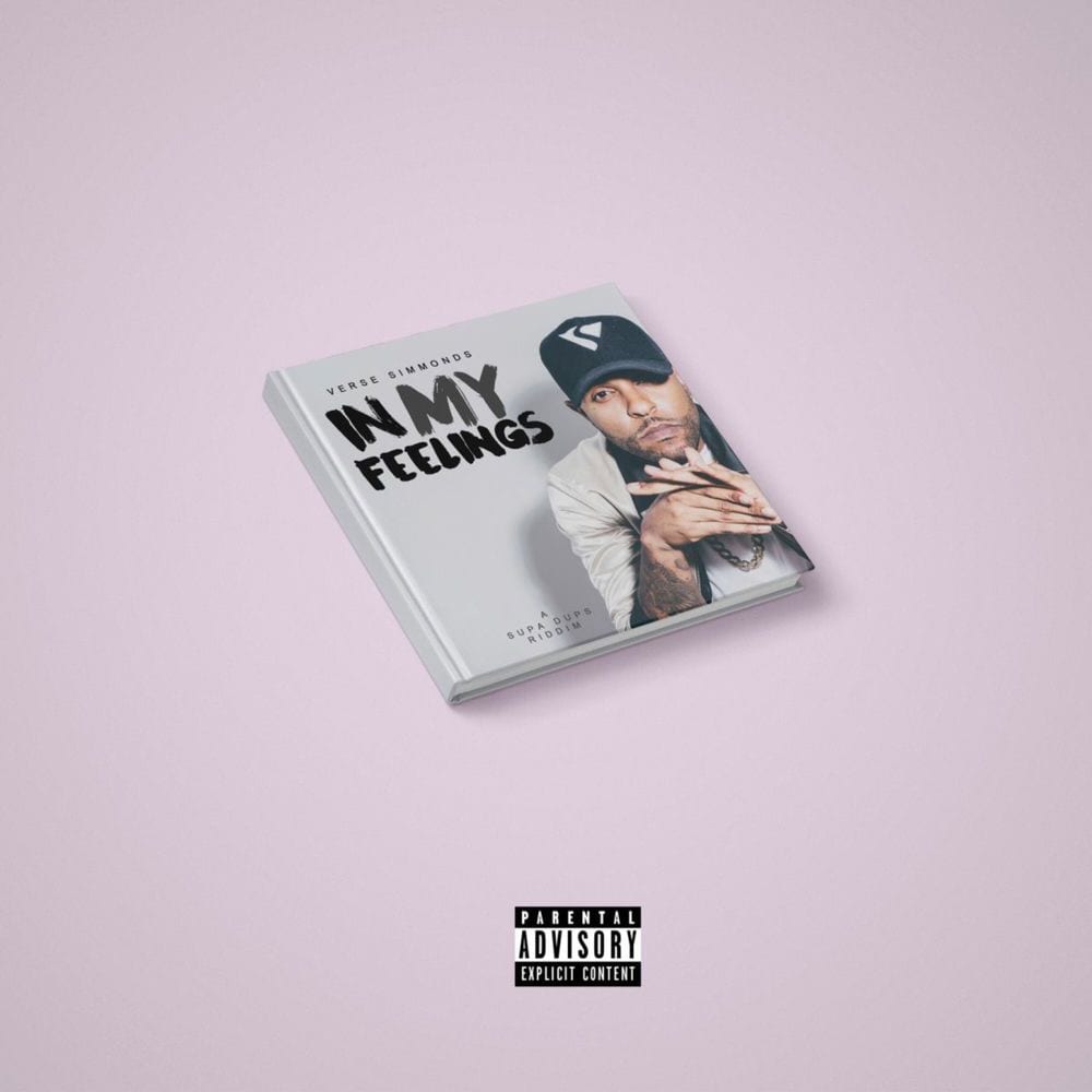 In My Feelings cover
