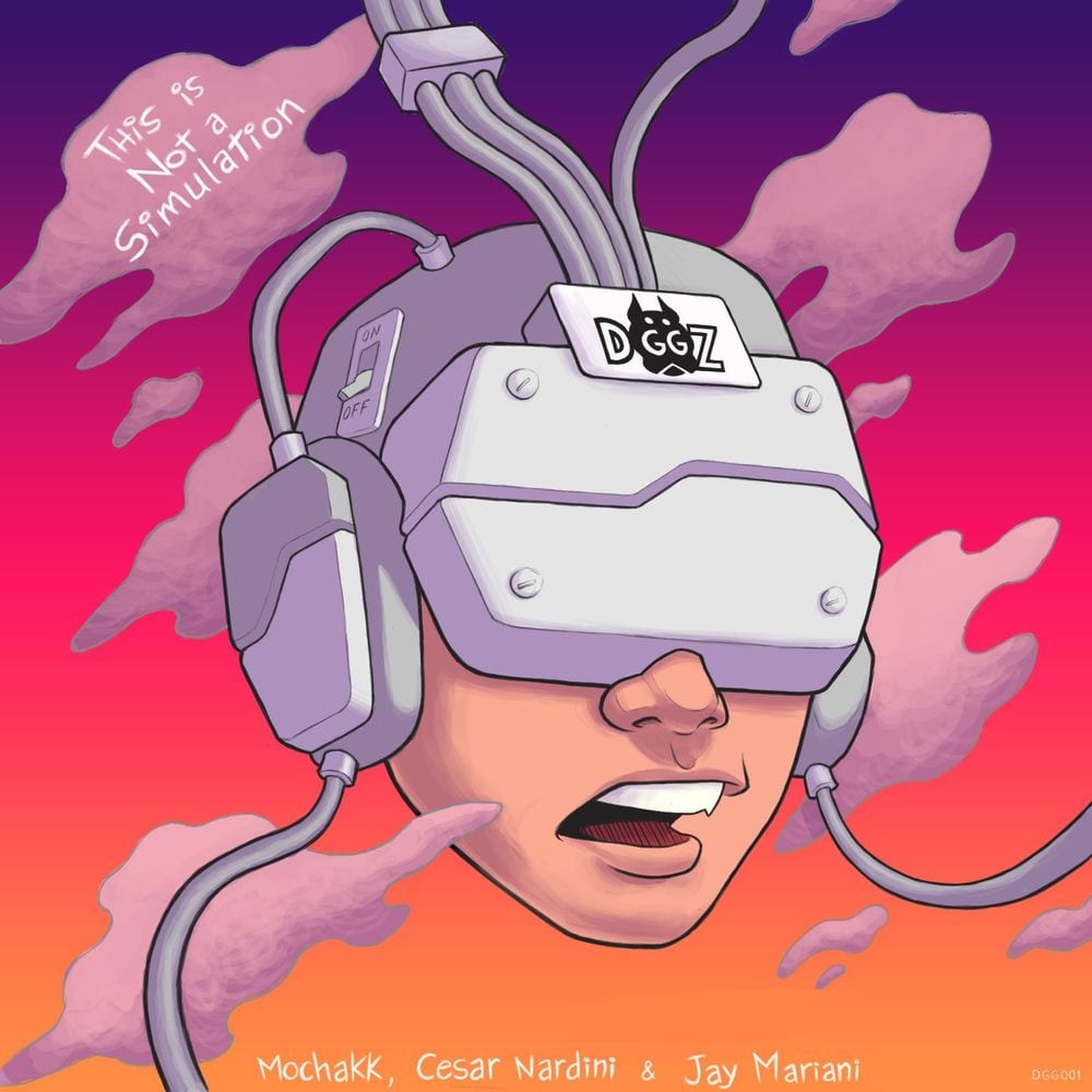 This Is Not a Simulation cover