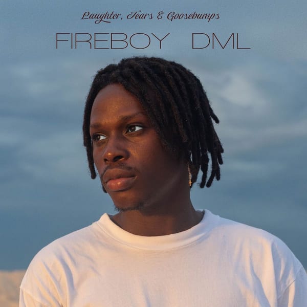 Laughter, Tears & Goosebumps album cover