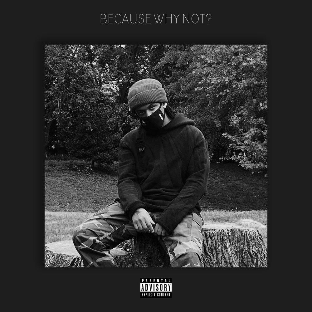 Because Why Not? cover