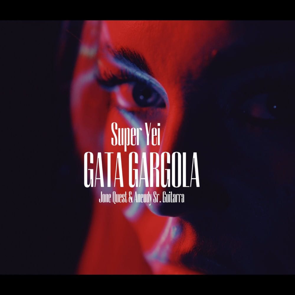 Gata Gárgola cover