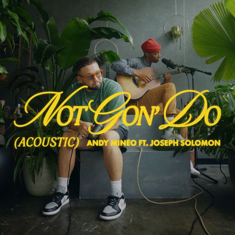 Not Gon' Do (Acoustic) cover
