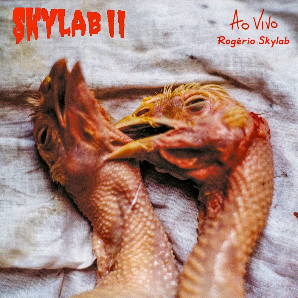 Skylab II (Ao Vivo) cover
