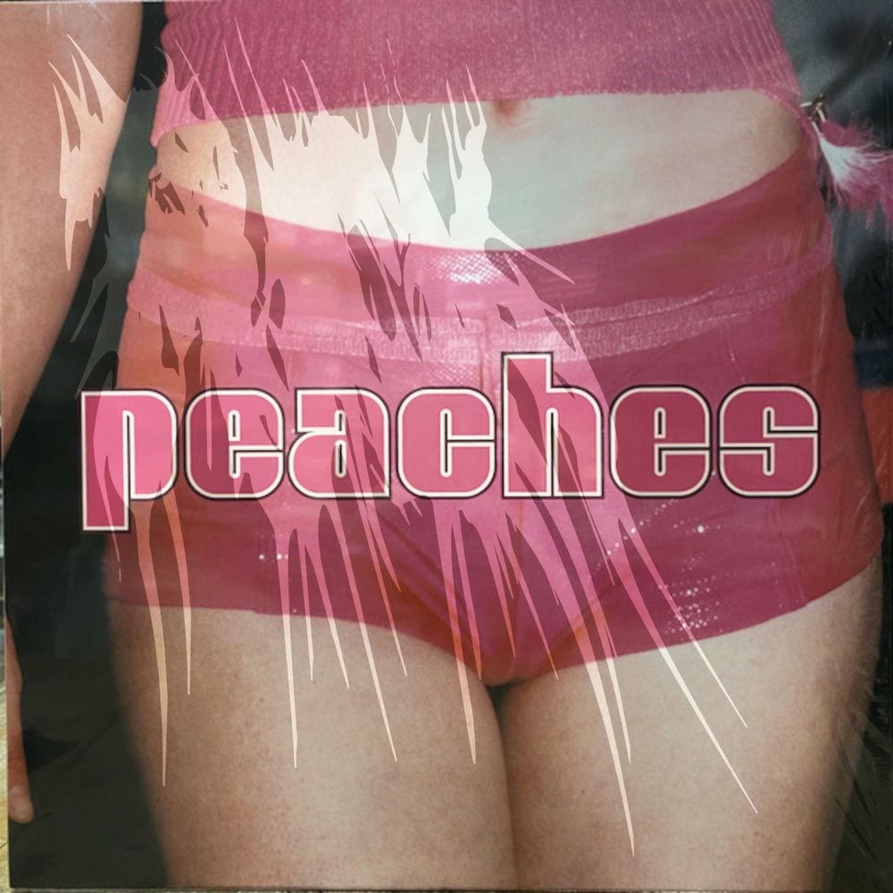 Peaches (Fuck the Pain Away Remix) cover