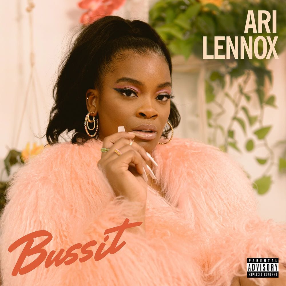 BUSSIT cover