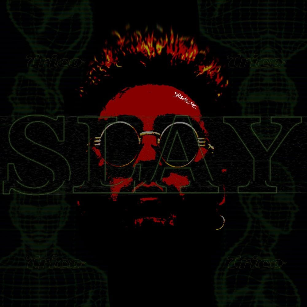 SLAY cover