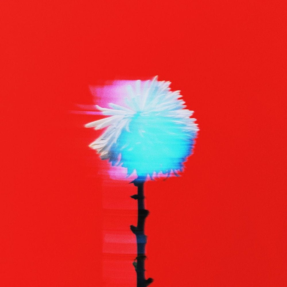 Vivo en el pasado cover