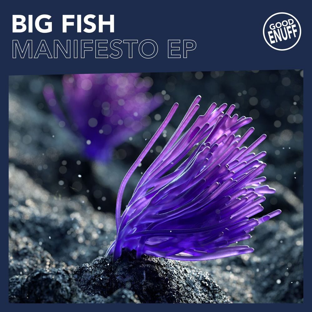 Manifesto cover