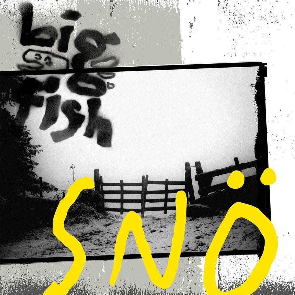 Snö cover