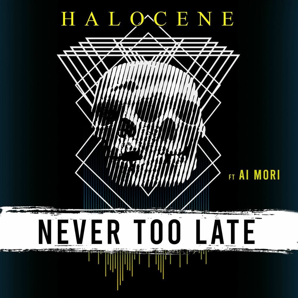 Never Too Late cover